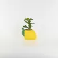 Lemon Plant Ornament