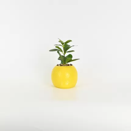 Lemon Plant Ornament