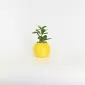 Lemon Plant Ornament