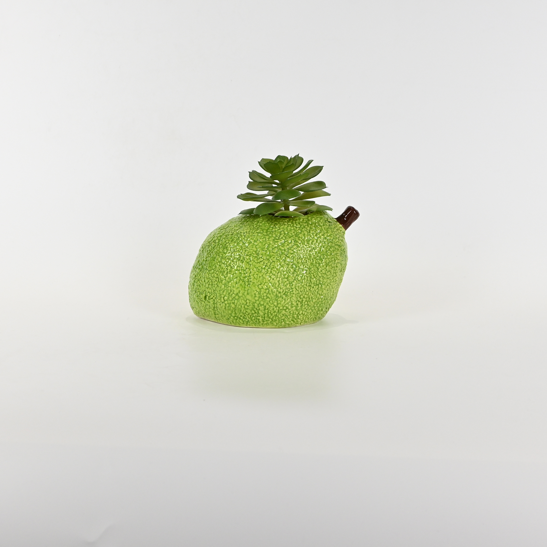 Pear Succulent Ornament