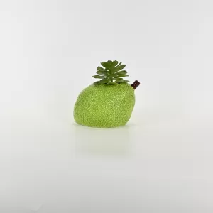 Pear Succulent Ornament