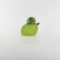 Pear Succulent Ornament