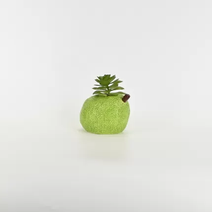 Pear Succulent Ornament