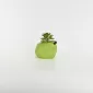 Pear Succulent Ornament