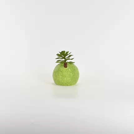 Pear Succulent Ornament