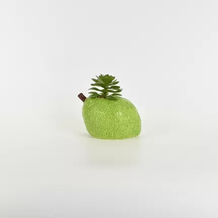 Pear Succulent Ornament