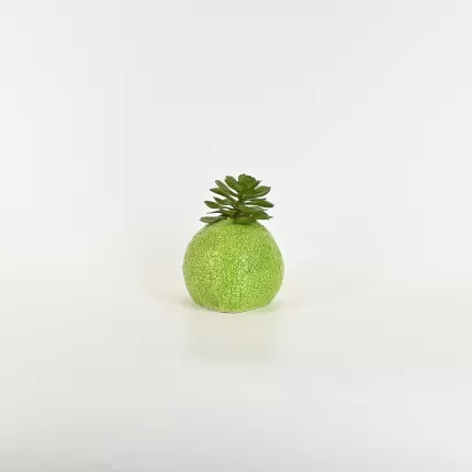 Pear Succulent Ornament