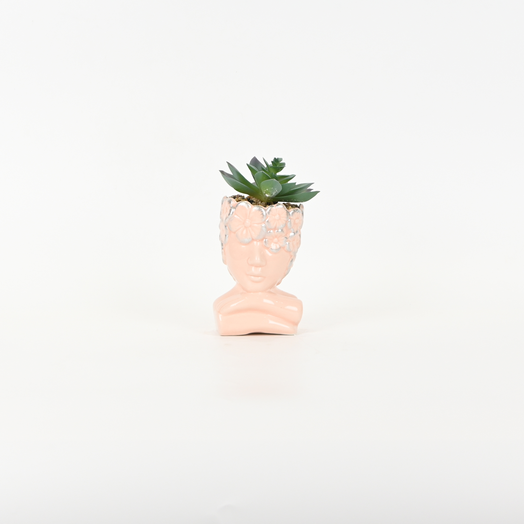 Abstract Figure Succulent Ornament-pink