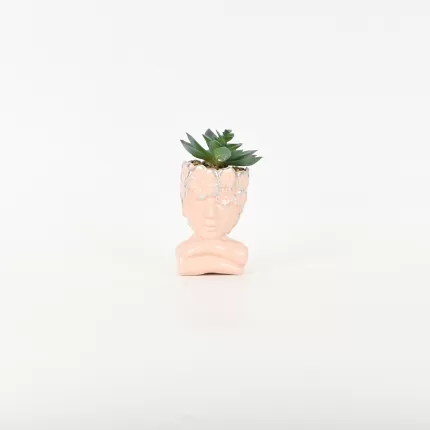 Abstract Figure Succulent Ornament-pink