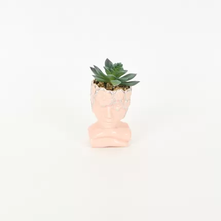 Abstract Figure Succulent Ornament-pink