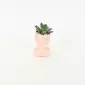 Abstract Figure Succulent Ornament-pink