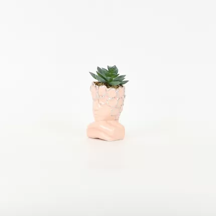 Abstract Figure Succulent Ornament-pink