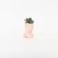 Abstract Figure Succulent Ornament-pink