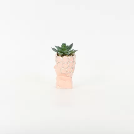 Abstract Figure Succulent Ornament-pink