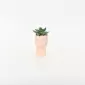 Abstract Figure Succulent Ornament-pink