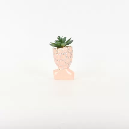 Abstract Figure Succulent Ornament-pink