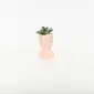 Abstract Figure Succulent Ornament-pink