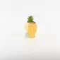 Cute Girl Succulent Ornament