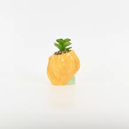 Cute Girl Succulent Ornament