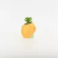 Cute Girl Succulent Ornament