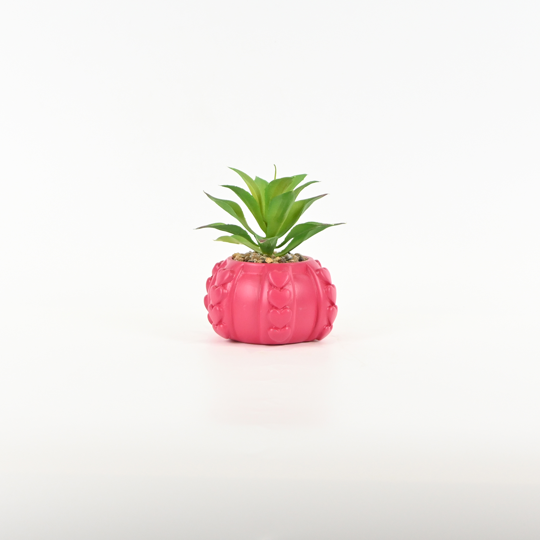 Heart Relief Plant Pot-dragon fruit red