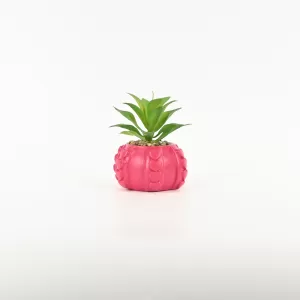 Heart Relief Plant Pot-dragon fruit red