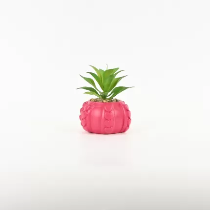 Heart Relief Plant Pot-dragon fruit red