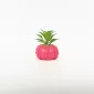 Heart Relief Plant Pot-dragon fruit red