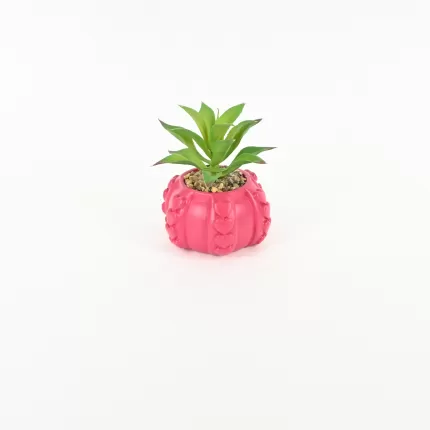 Heart Relief Plant Pot-dragon fruit red