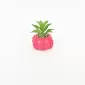 Heart Relief Plant Pot-dragon fruit red
