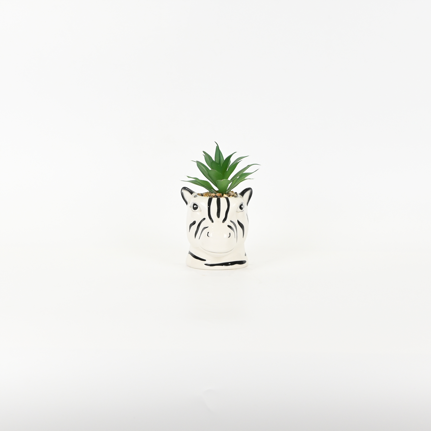 Zebra Succulent Ornament