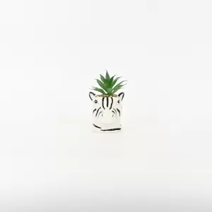 Zebra Succulent Ornament