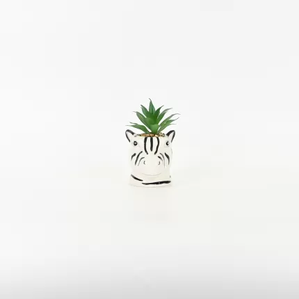 Zebra Succulent Ornament