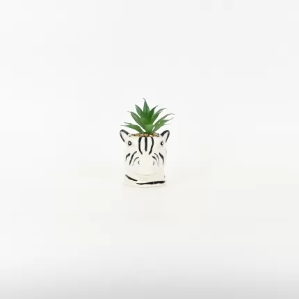 Zebra Succulent Ornament