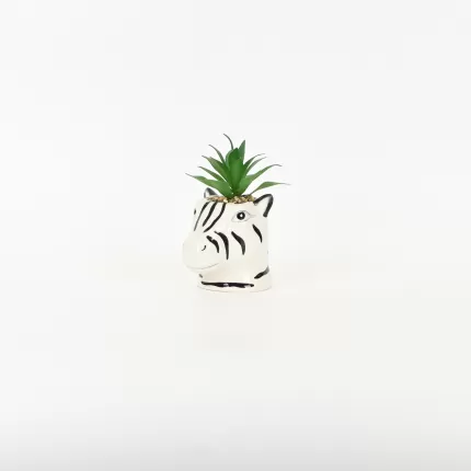 Zebra Succulent Ornament