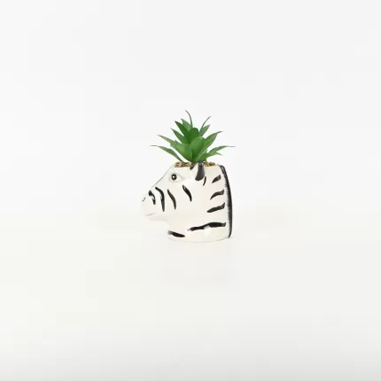 Zebra Succulent Ornament