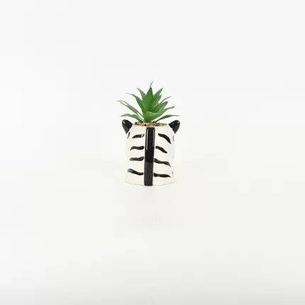 Zebra Succulent Ornament