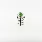 Zebra Succulent Ornament