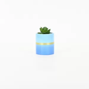 Gold Painted Succulent Ornament-blue