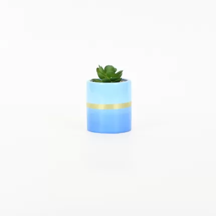 Gold Painted Succulent Ornament-blue