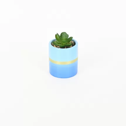 Gold Painted Succulent Ornament-blue