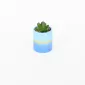 Gold Painted Succulent Ornament-blue