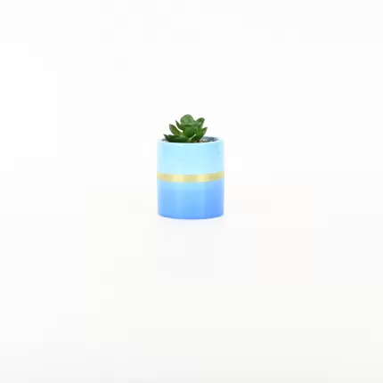Gold Painted Succulent Ornament-blue