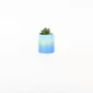 Gold Painted Succulent Ornament-blue