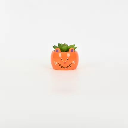 Mouse Succulent Ornament-orange