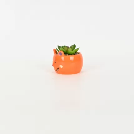 Mouse Succulent Ornament-orange