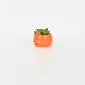 Mouse Succulent Ornament-orange