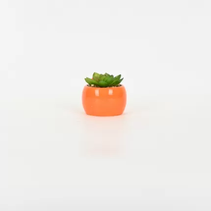 Mouse Succulent Ornament-orange
