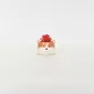 Corgi Succulent Ornament