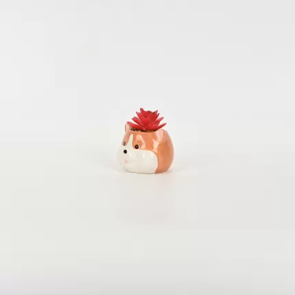 Corgi Succulent Ornament